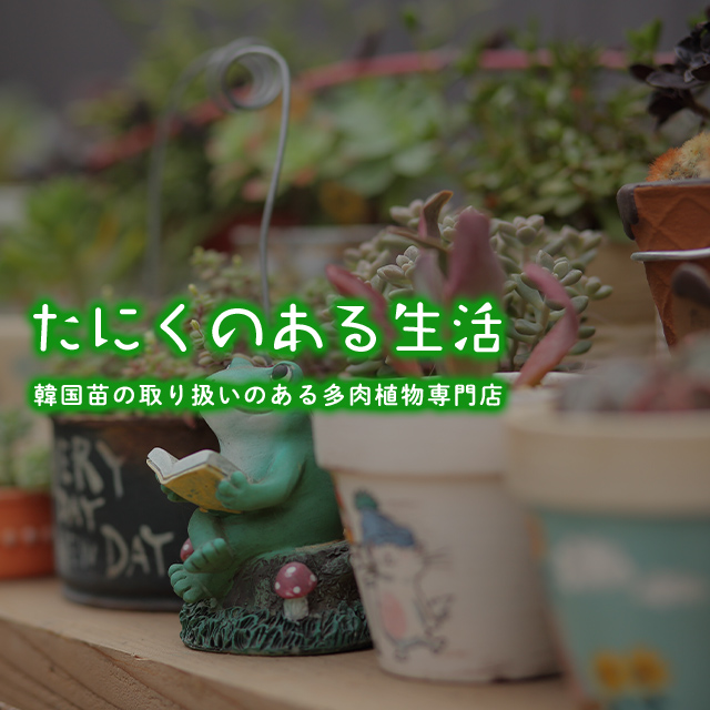 たにくるうむ